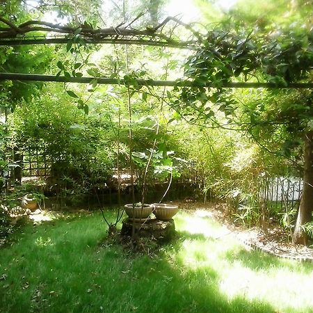 Charming Maisonette Polychrono Luaran gambar