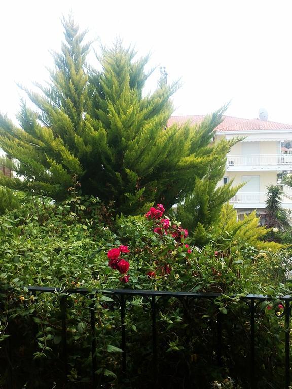 Charming Maisonette Polychrono Luaran gambar